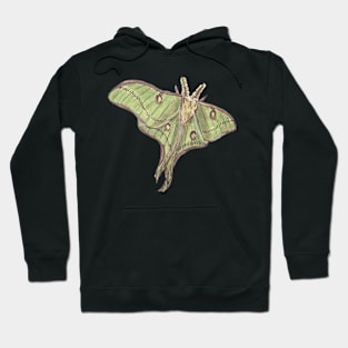 Luna Moth Hoodie